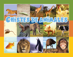 Chistes de animales